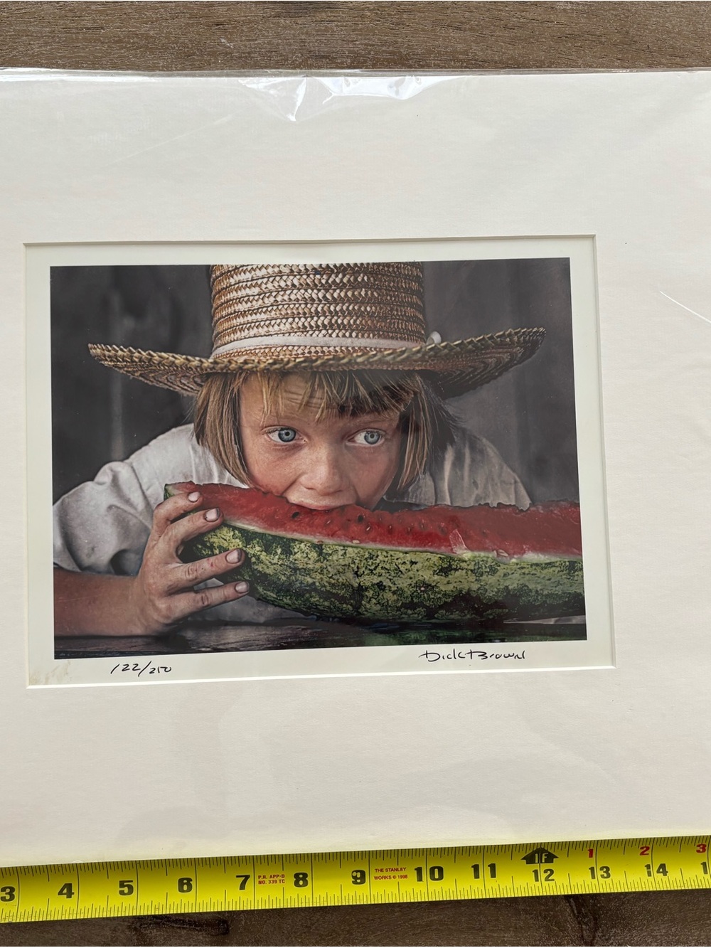 Framed Watermelon Bite Art Print in Red and Green